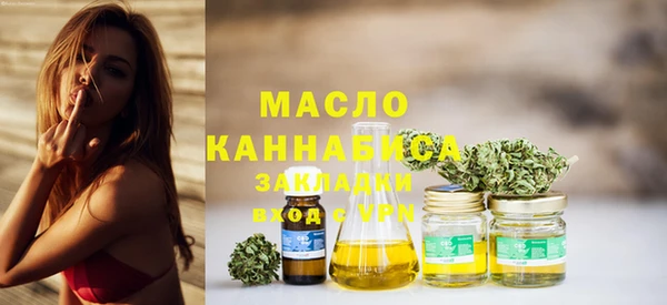 молекула духа Краснослободск