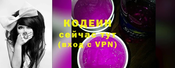 молекула духа Краснослободск