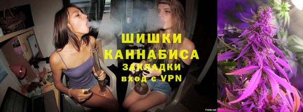 прущие крисы Кулебаки