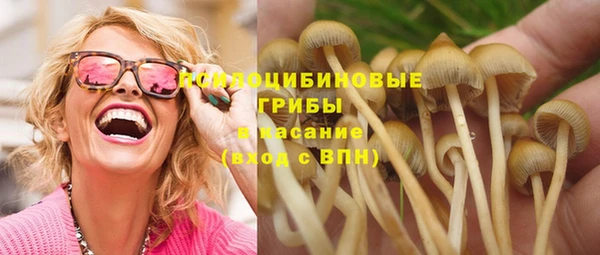 прущие крисы Кулебаки