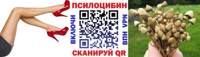 Купить  Белая Калитва  Галлюциногенные грибы мухоморы 